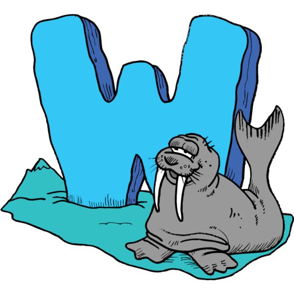 W is for Walrus Thumbnail